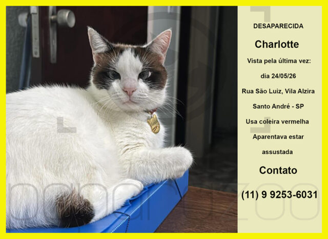 Desaparecida: Charlotte