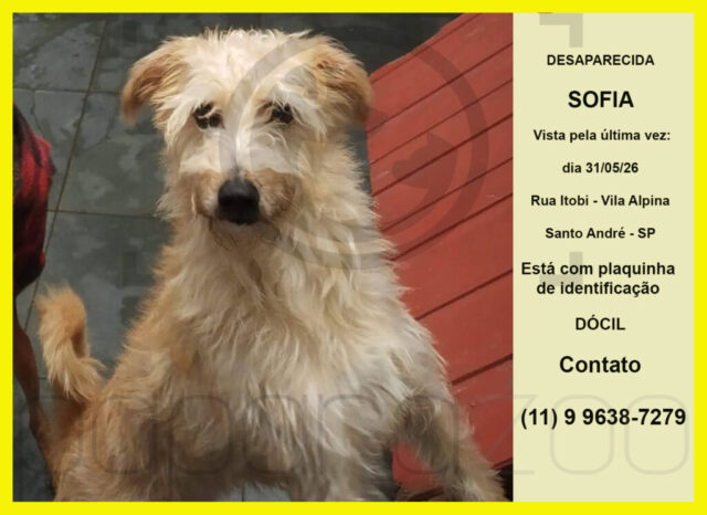 Desaparecida: Sofia