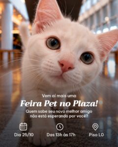 Um novo lar: Evento de adoção pet acontece no Grande ABC